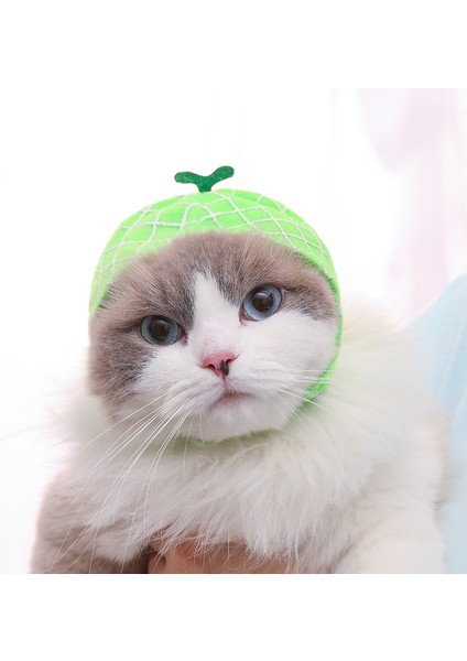 Kedi Pet Şapka, Kavun Hood, Türban, Evcil Hayvan Malzemeleri 10 x 11 x 35 cm. (Yurt Dışından)