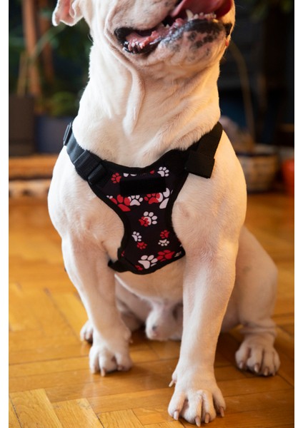 Köpek Gögüs Tasma modelleri