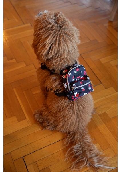 Köpek Gögüs Tasma indirimleri