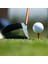 Pzhome Profesyonel Ahşap Golf Tees 83 mm (Yurt Dışından) 4