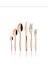 Carmen Rose Gold 42 Parça Çatal Kaşık Bıçak Seti 1