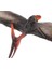 Gerçekçi Kretase Pteranodon Model Oyuncak Aksiyon Figürü Koleksiyonu (Yurt Dışından) 2