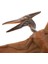 Mini Pterodactylus Model Hayvan Model Çocuk Partisi Vaka Oyuncak (Yurt Dışından) 5