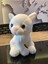 Beyaz Kedi Peluş Oyuncak 28CM 2