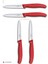 Evrekala Shop Victorinox Kırmızı Büyük Bıçak Seti 10 cm Special Edition 4'lü 1