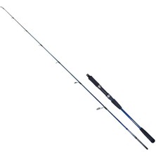 Ryuji Strobe Iı 168 cm 40-110 gr 2 Parça Jig Kamışı