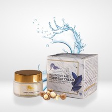 Dead Sea Anti-Aging Regenerating Night Cream 50 ml