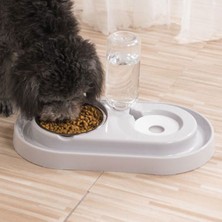 Petsi Essential Kedi - Köpek Mama ve Su Kabı 500 ml