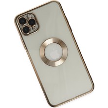 Bilişim Aksesuar iPhone 11 Pro Max Kılıf Slot Silikon - Gold