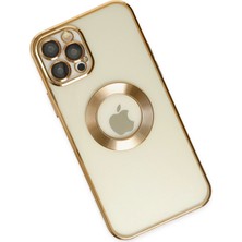 Bilişim Aksesuar iPhone 12 Pro Kılıf Slot Silikon - Gold