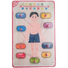 Bubu Ahşap Puzzle Vücudumuzu Tanıyalım