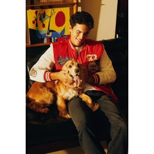 DeFacto Oversize Fit Kolej Yaka Bomber Mont Y5984AZ22AU