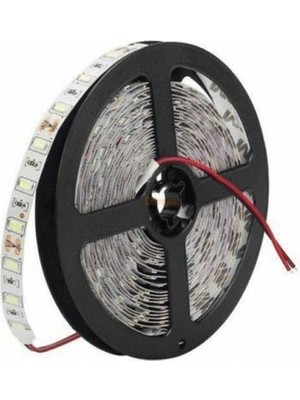 Cata Ct 4480 Şerit LED 1 Mt