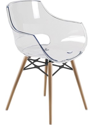 Papatya Opal Wox Koltuk Transparan Şeffaf Ahşap Kayın Ayaklı