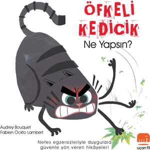 Öfkeli Kedicikne Yapsın?  Audrey Bouquet - Fabien Öckto Lambert