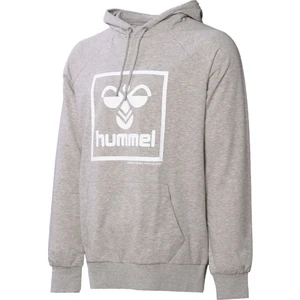 Hmlt-Isam 2.0 Hoodıe Gri Erkek Sweatshirt 921556-2006