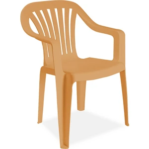 Tropik Koltuk Teak - Plastik Bahçe Sandalyesi