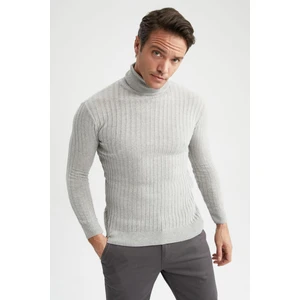 Regular Fit Balıkçı Yaka Triko Kazak Z9558AZ22AU