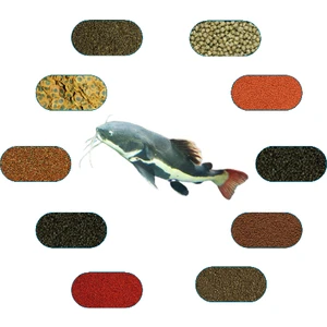 Kedi Balıkları Yem Paketi (Yayıngiller) 50 Gr/ad (6 Çeşit)