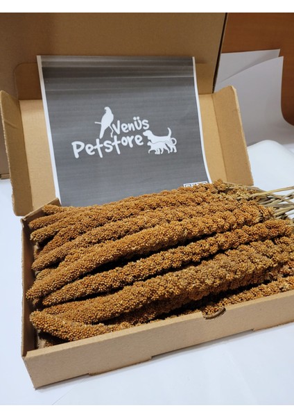 Yerli Üretim Doğal Kızıl Dal Darı 250 gr