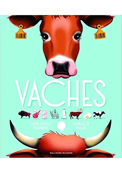 Vaches -Fransızca