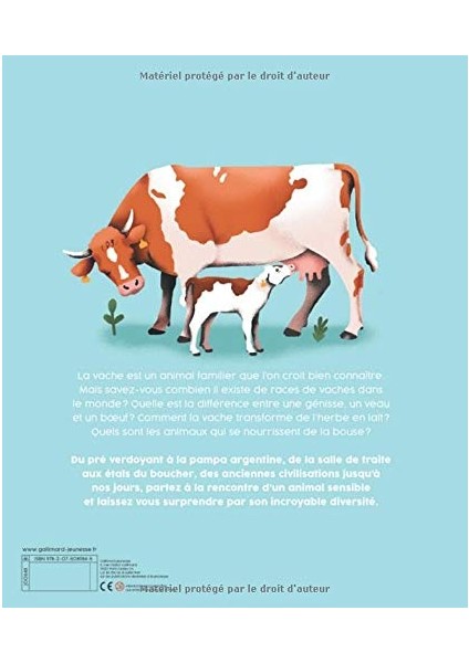 Vaches -Fransızca