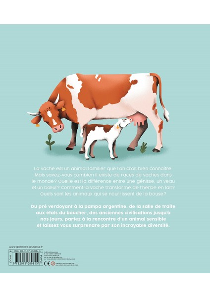 Vaches -Fransızca
