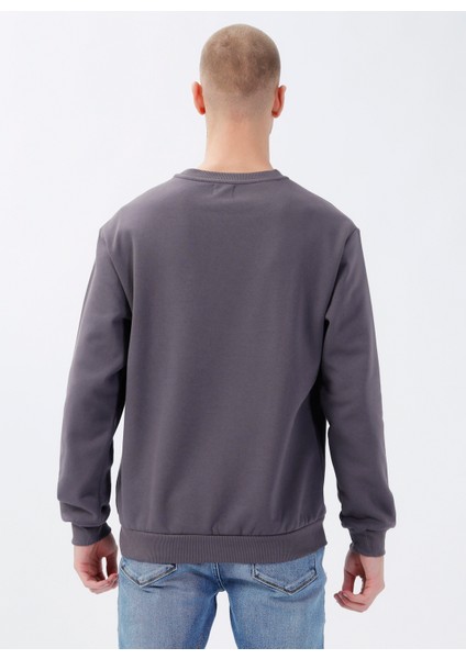 Bisiklet Yaka Açık Gri Erkek Sweatshirt DT10118-2_DENIM Trip Bisiklet Yaka