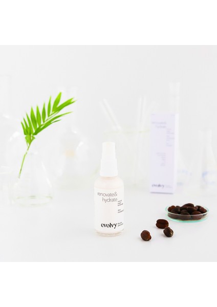 Renovate & Hydrate Nemlendirici Yüz Kremi fırsatları