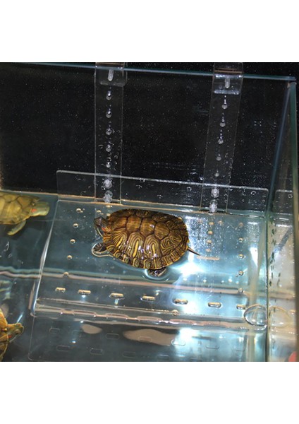 Kaplumbağa Basking Platformu - Akvaryum, Tank Kaplumbağası Dinlenme Terası Rampası fiyatları