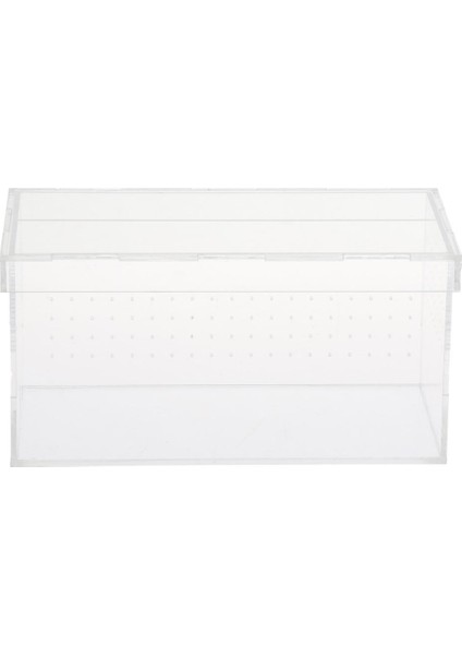 Akrilik Sürüngen Terrarium Gecko Örümcek Vivarium Tank