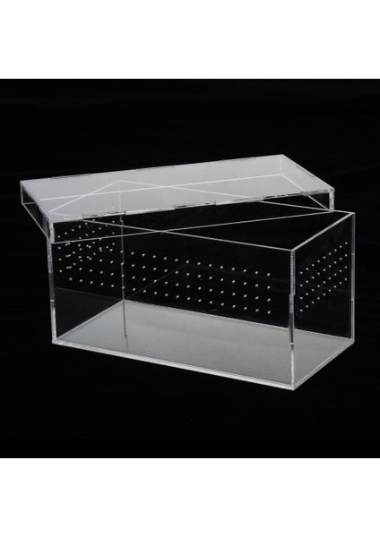 Akrilik Sürüngen Terrarium Gecko Örümcek Vivarium Tank modelleri