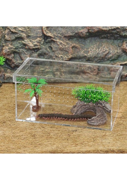 Akrilik Sürüngen Terrarium Gecko Örümcek Vivarium Tank indirimleri