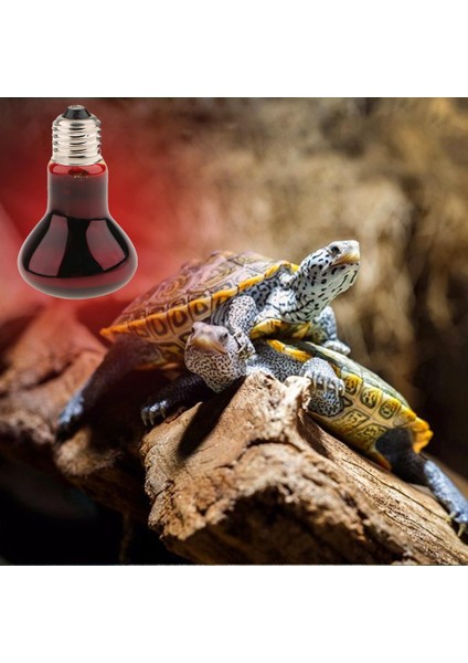 Kızılötesi Basking Spot Lamba Sürüngen Kırmızı Ampul 50W