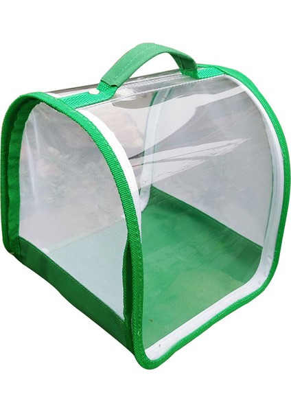 Böcek ve Kelebek Habitat Kafesi Gözlem Temiz Hata Için Polyester Bitki