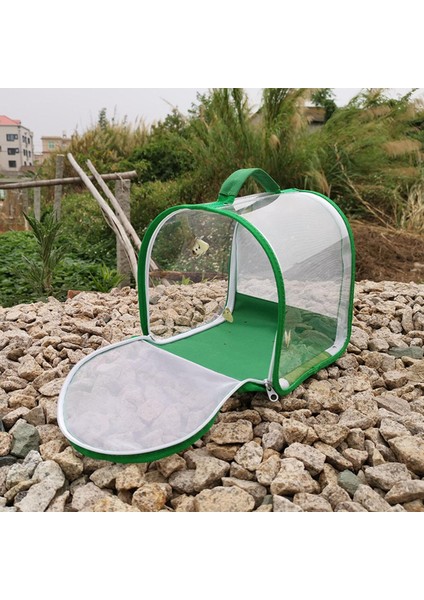 Böcek ve Kelebek Habitat Kafesi Gözlem Temiz Hata Için Polyester Bitki fırsatları