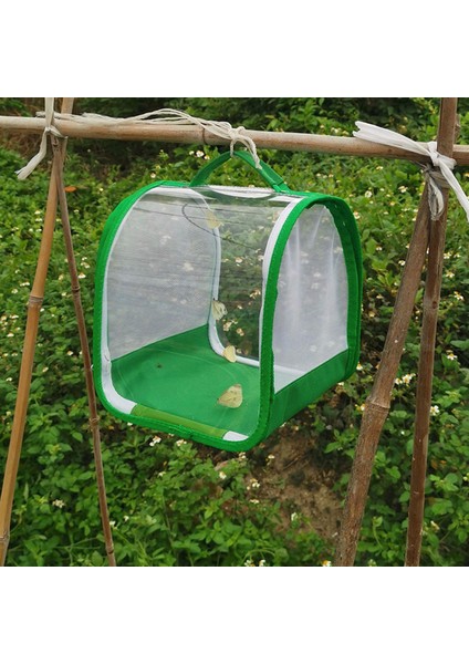 Böcek ve Kelebek Habitat Kafesi Gözlem Temiz Hata Için Polyester Bitki indirimleri