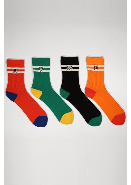 4'lü Paket Animals Box Unisex Art Soket Çorap Siyah/yeşil/kırmızı/turuncu