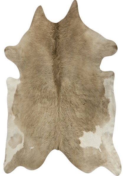 Dijital Baskılı Kaymaz Taban Yıkanabilir Lazer Kesim Salon Halısı Yolluk Nlzr-Sd-52 fiyatları