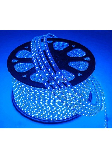 Ct 4549 Şerit LED 5 Mt (3 ŞERİT LED FİŞİ HEDİYE)