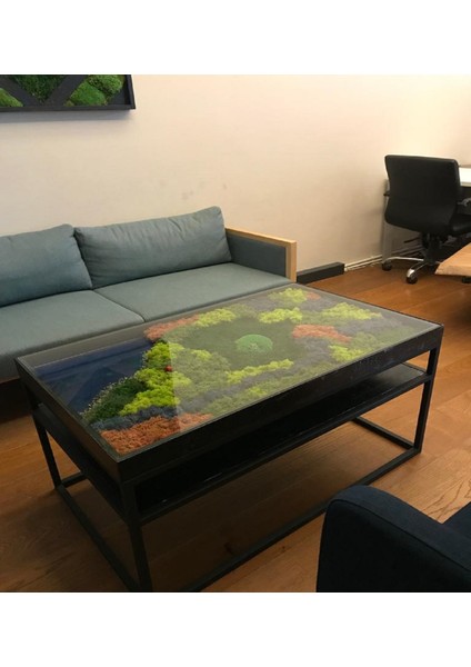 Eposili ve Canlı Yosun Dekorlu Sehpa fiyatları