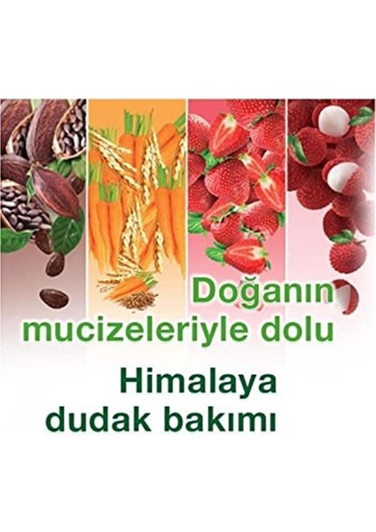Herbals Besleyici Dudak Kremi, Lip Balm, Buğday Tohumu Yağı, Nemlendirici, %100 Doğal Renk indirimleri