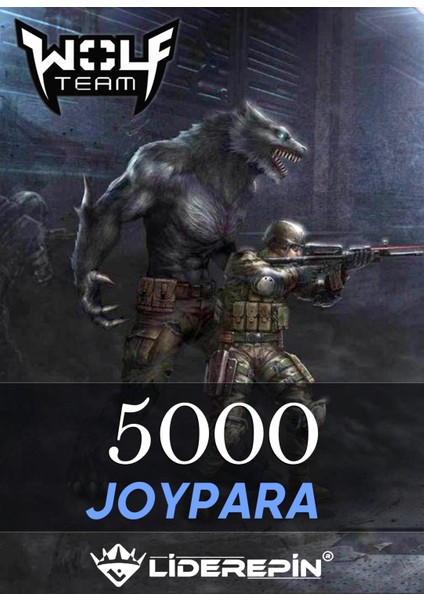 5.000 Joypara (1.875 Wolfteam Nakit)