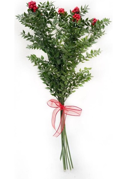 Canlı Yılbaşı Çiçeği Kokina (6dal)