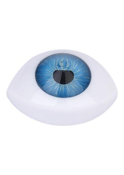 4 Salkılar 12 mm. Iris Oval İçi Boş Bebek Sahte Gözler (Yurt Dışından) indirimleri