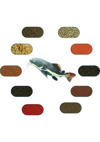 Kedi Balıkları Yem Paketi (Yayıngiller) 50 Gr/ad (6 Çeşit)