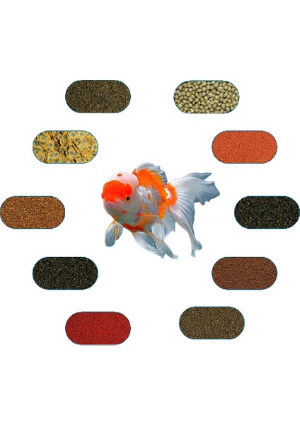 Oranda Yem Paketi 100 Gr/ad (6 Çeşit)