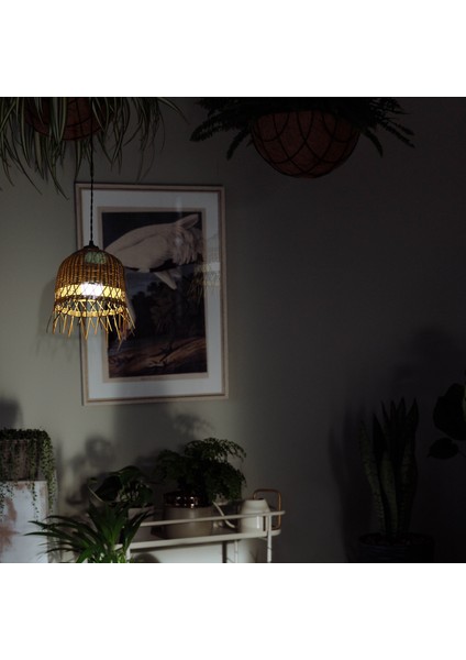 Bambu Avize Rattan Sarkıt: Starlight Natürel Renk: 25-27CM
