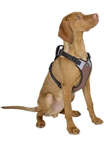Köpek Gövde Tasması Pulsive Boyun 50-62CM - Göğüs 56-74CM