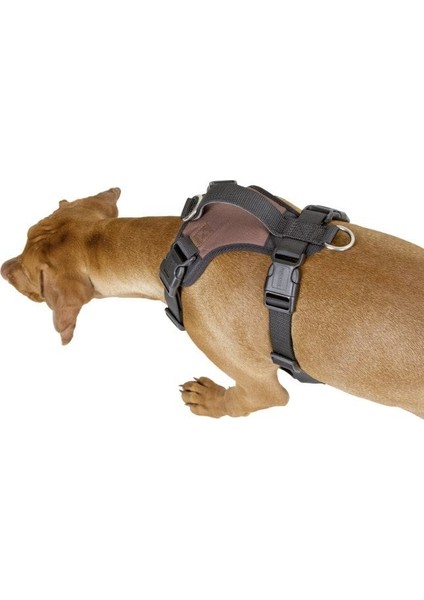 Köpek Gövde Tasması Pulsive Boyun 50-62CM - Göğüs 56-74CM